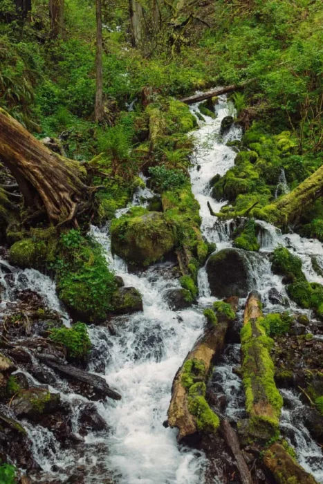 Exploring the Best Waterfalls at Red River Gorge