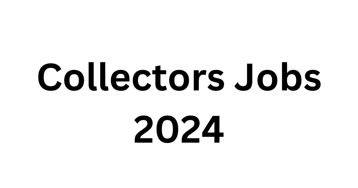 Collector Office Job Vacancy 2024: Your Guide to Government Jobs