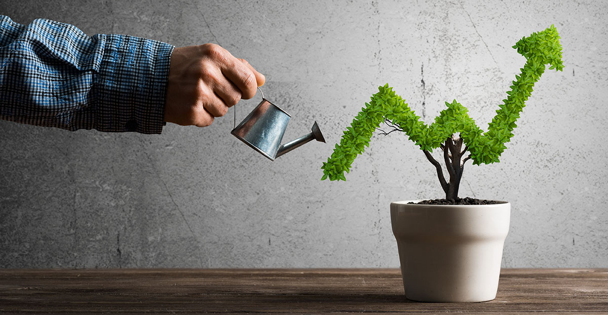 The Ultimate Guide to Business Growth and Financial Freedom showing strategies for business success, entrepreneurship, wealth creation, financial independence, smart investments, and sustainable business growth.